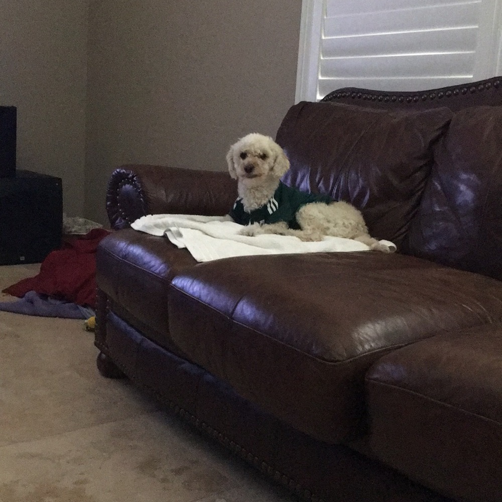 Meet your Posher, Veronica